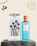 Loewe Agua